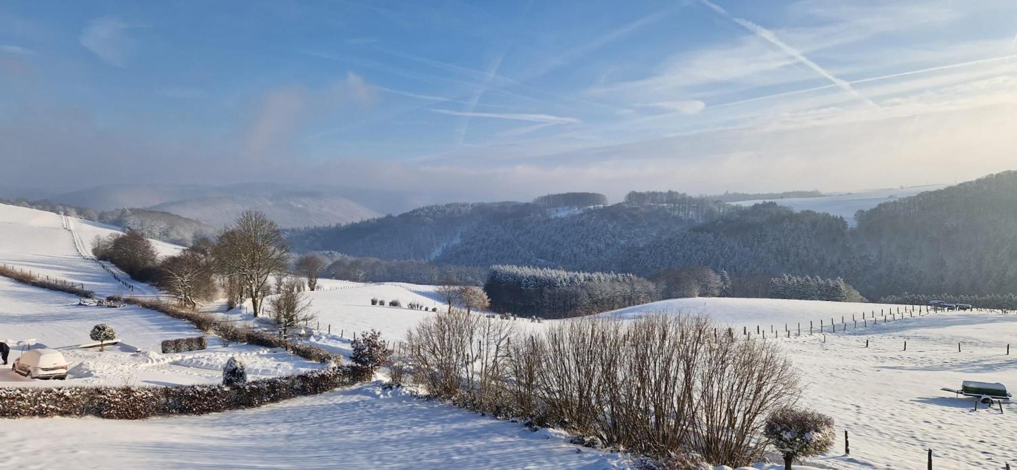 Fewo-Eifel-Morsbach ชไลเดิน ภายนอก รูปภาพ