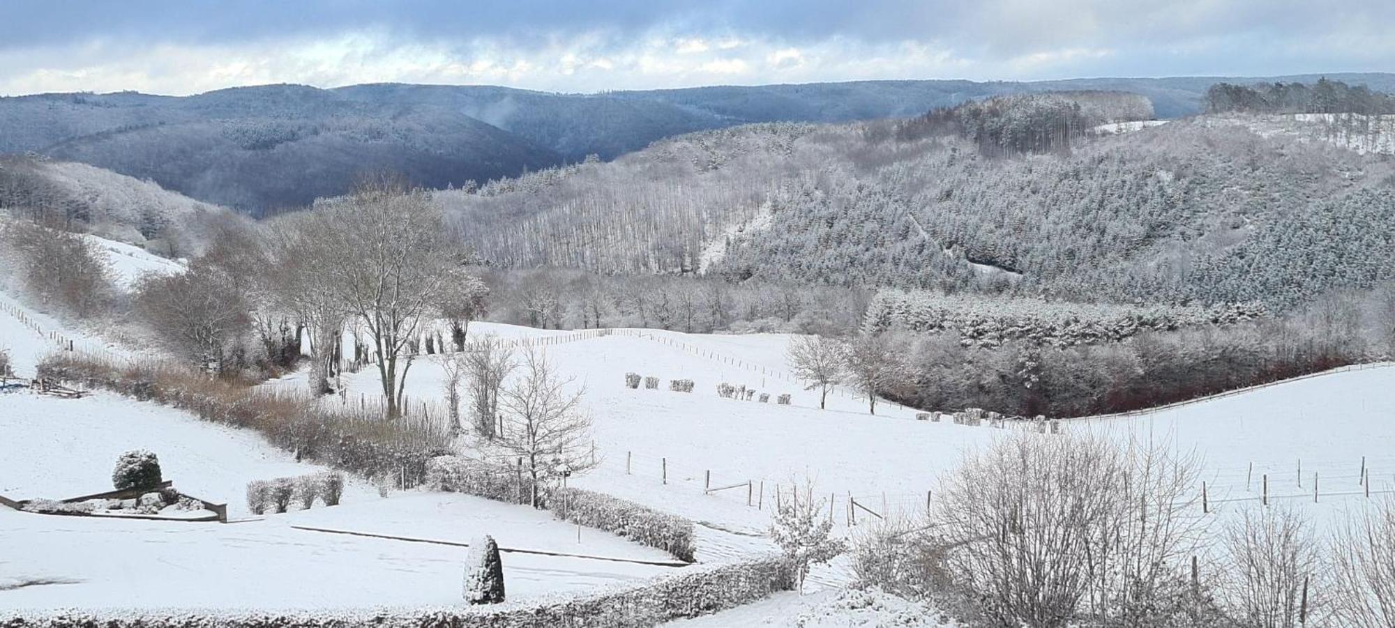 Fewo-Eifel-Morsbach ชไลเดิน ภายนอก รูปภาพ
