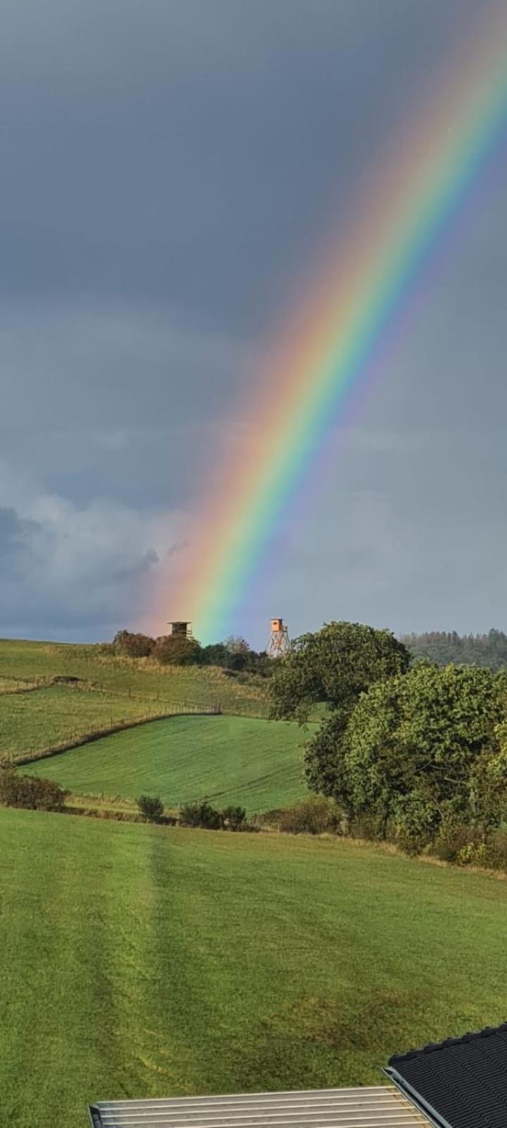Fewo-Eifel-Morsbach ชไลเดิน ภายนอก รูปภาพ