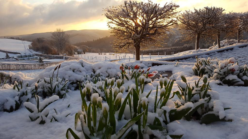 Fewo-Eifel-Morsbach ชไลเดิน ภายนอก รูปภาพ